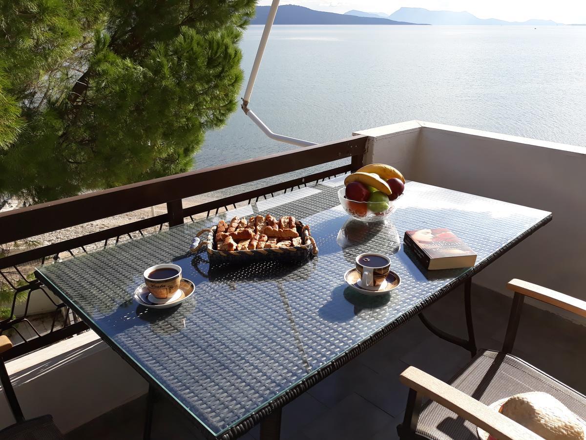 Villa Vandorou-Lefkada 利吉亚 外观 照片